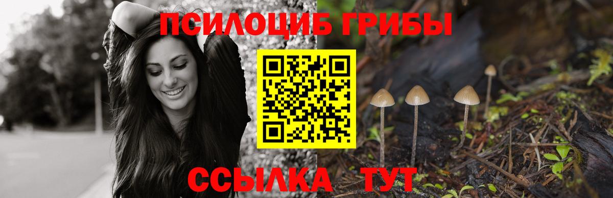 Галлюциногенные грибы ЛСД Артёмовский