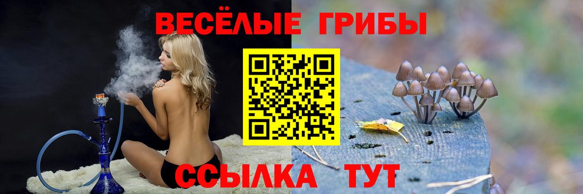 Артёмовский  Галлюциногенные грибы мицелий  Вход с VPN 